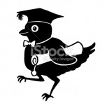 stock-photo-24325688-little-bird-with-a-diploma